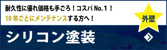 シリコン外壁塗装　耐久性に優れ価格も手ごろ！コスパNo.１！～10年ごとにメンテナンスする方へ！～