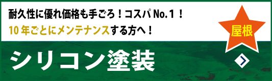 シリコン屋根塗装　耐久性に優れ価格も手ごろ！コスパNo.１！～10年ごとにメンテナンスする方へ！～